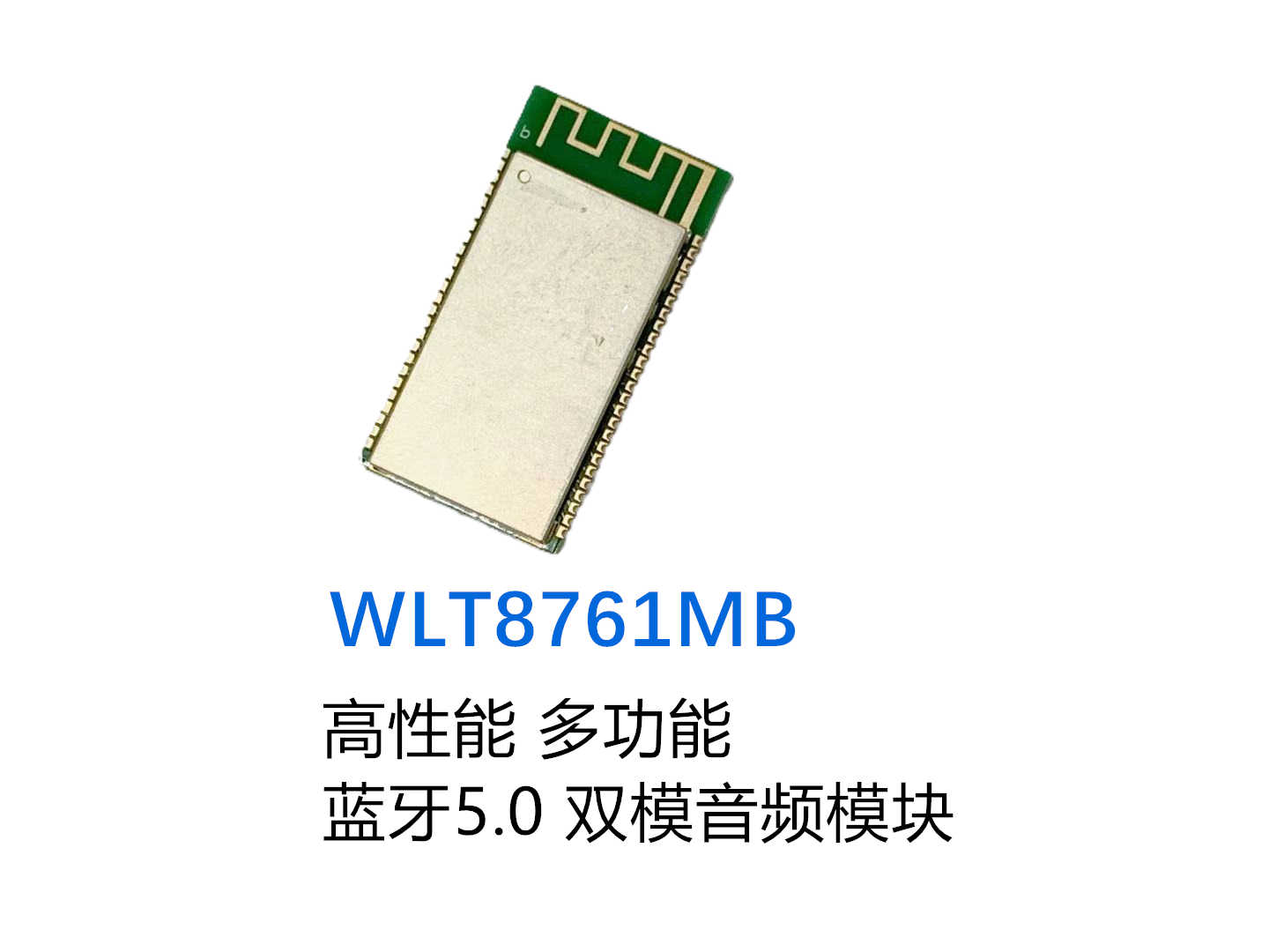 WLT8761MB