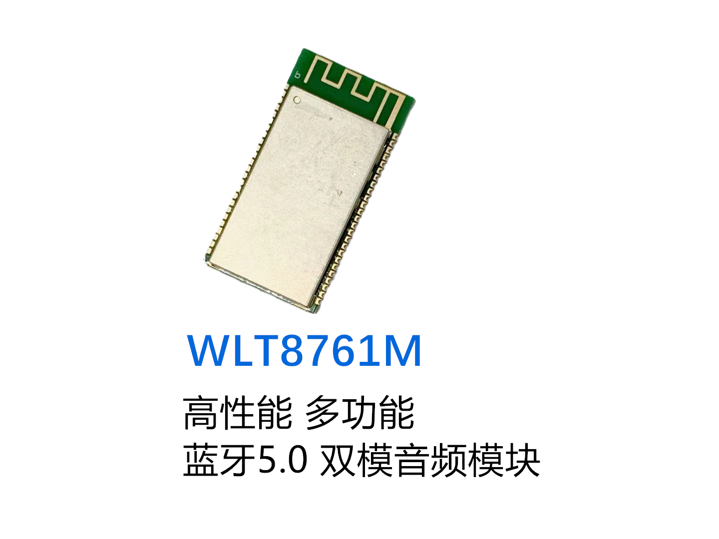WLT8761MB - 副本 (2)